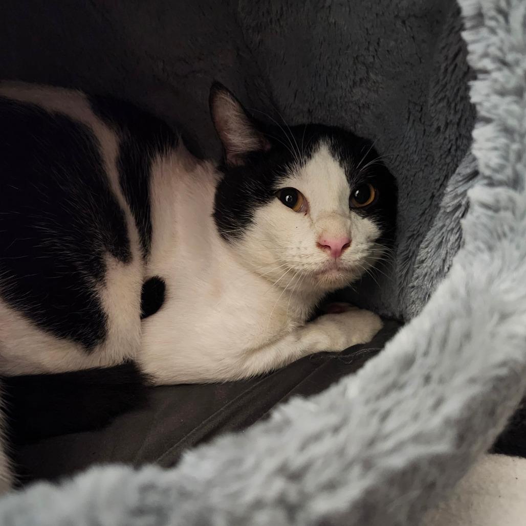 Billy — thumbnail 2