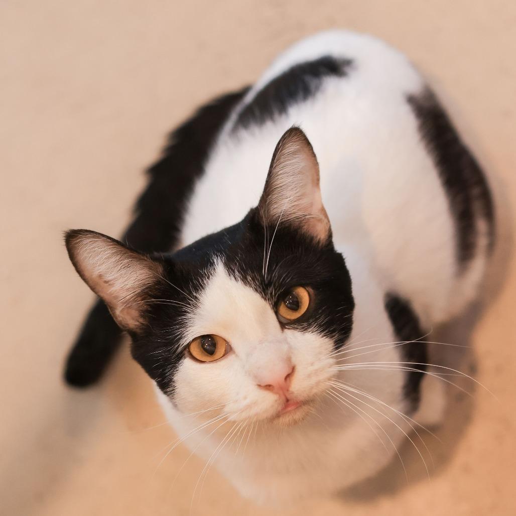 Billy — thumbnail 3