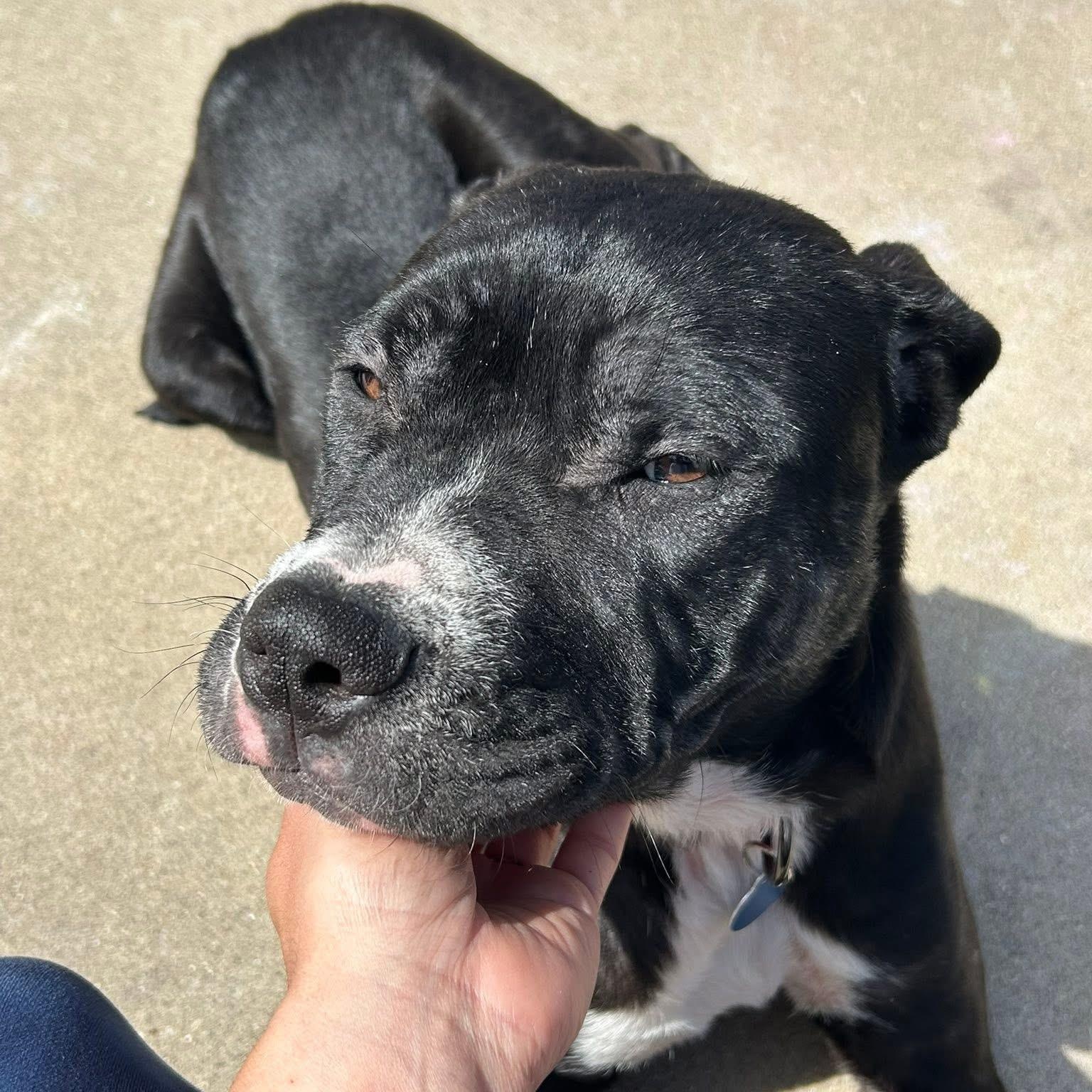 Lenny