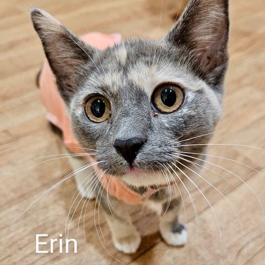 Erin photo 1