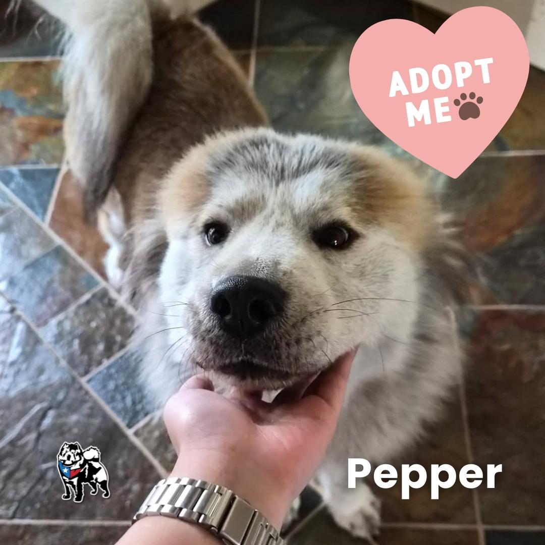Pepper