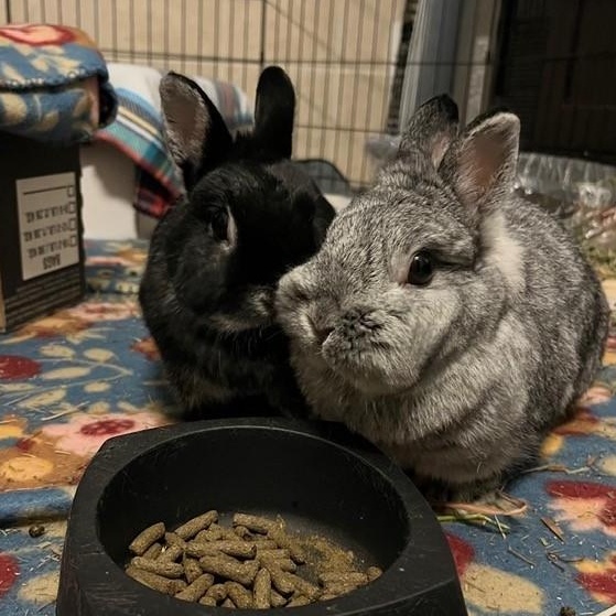 Thelma & Louise photo