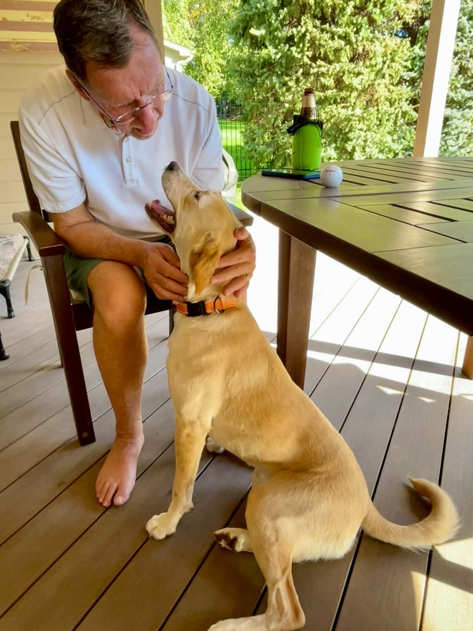 Enlarge Mabel, a Adopted mixed breed in Omaha, NE image 2/5