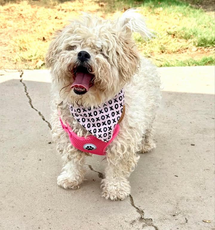 Ella