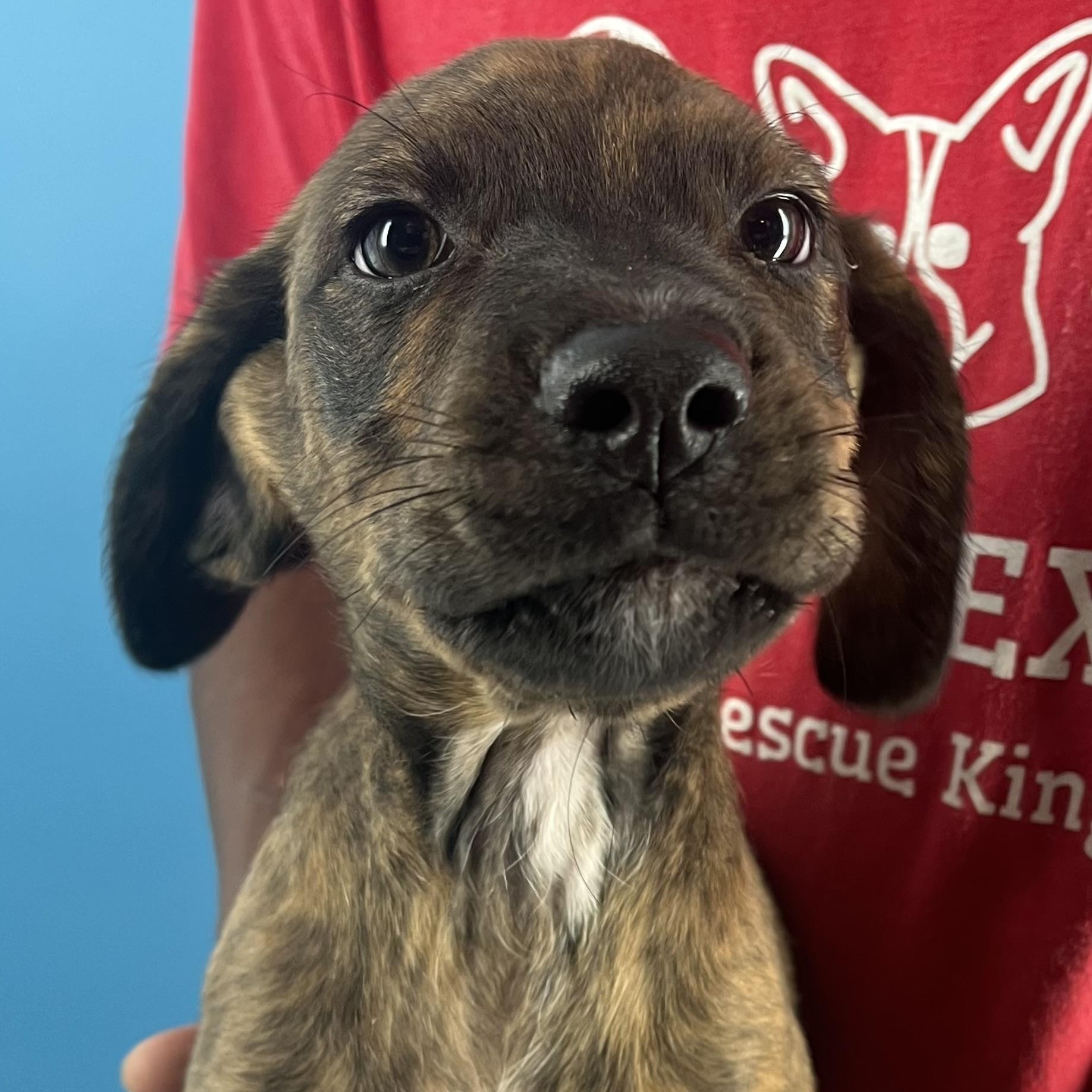 Marco  Local Oct thumbnail 6