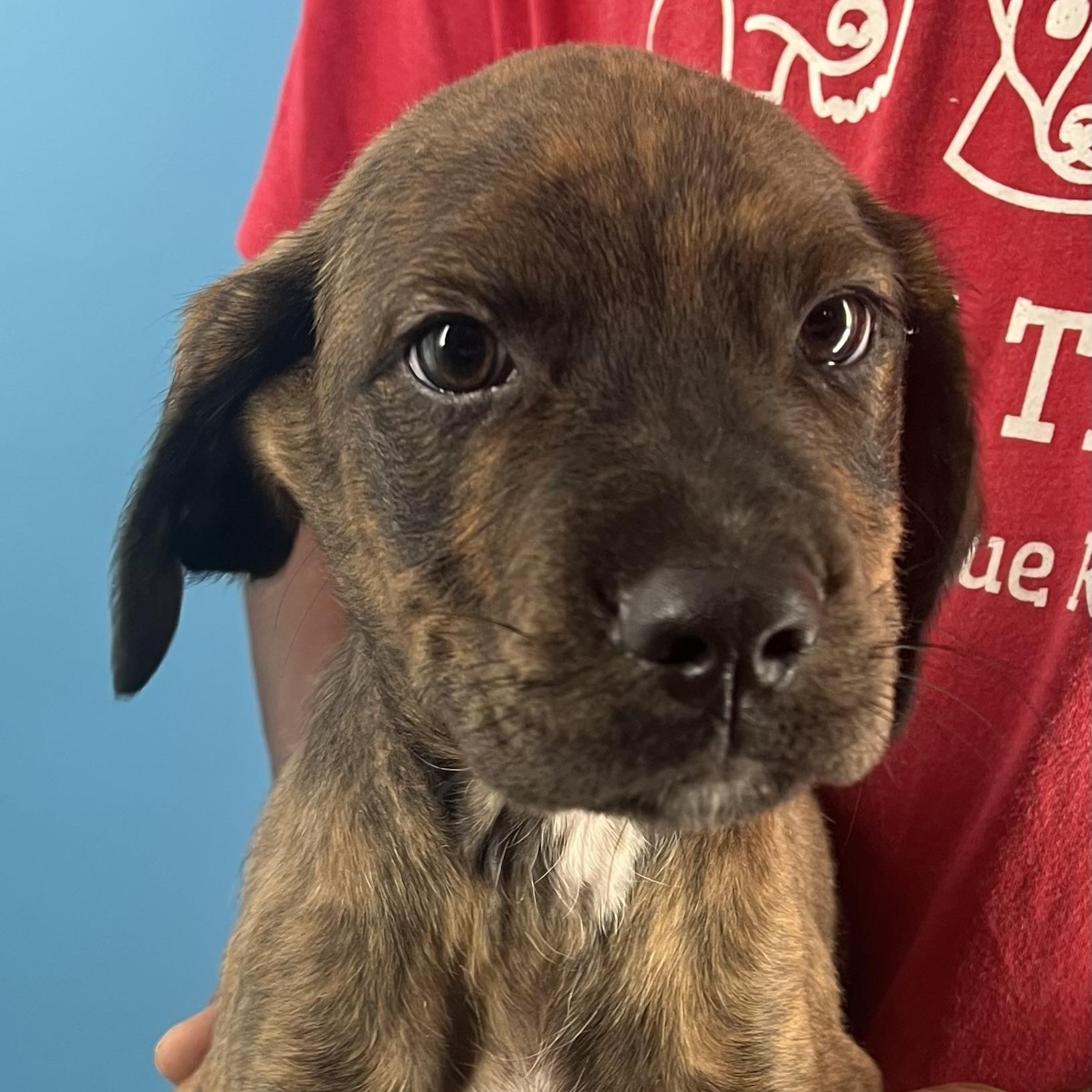 Marco  Local Oct thumbnail 2