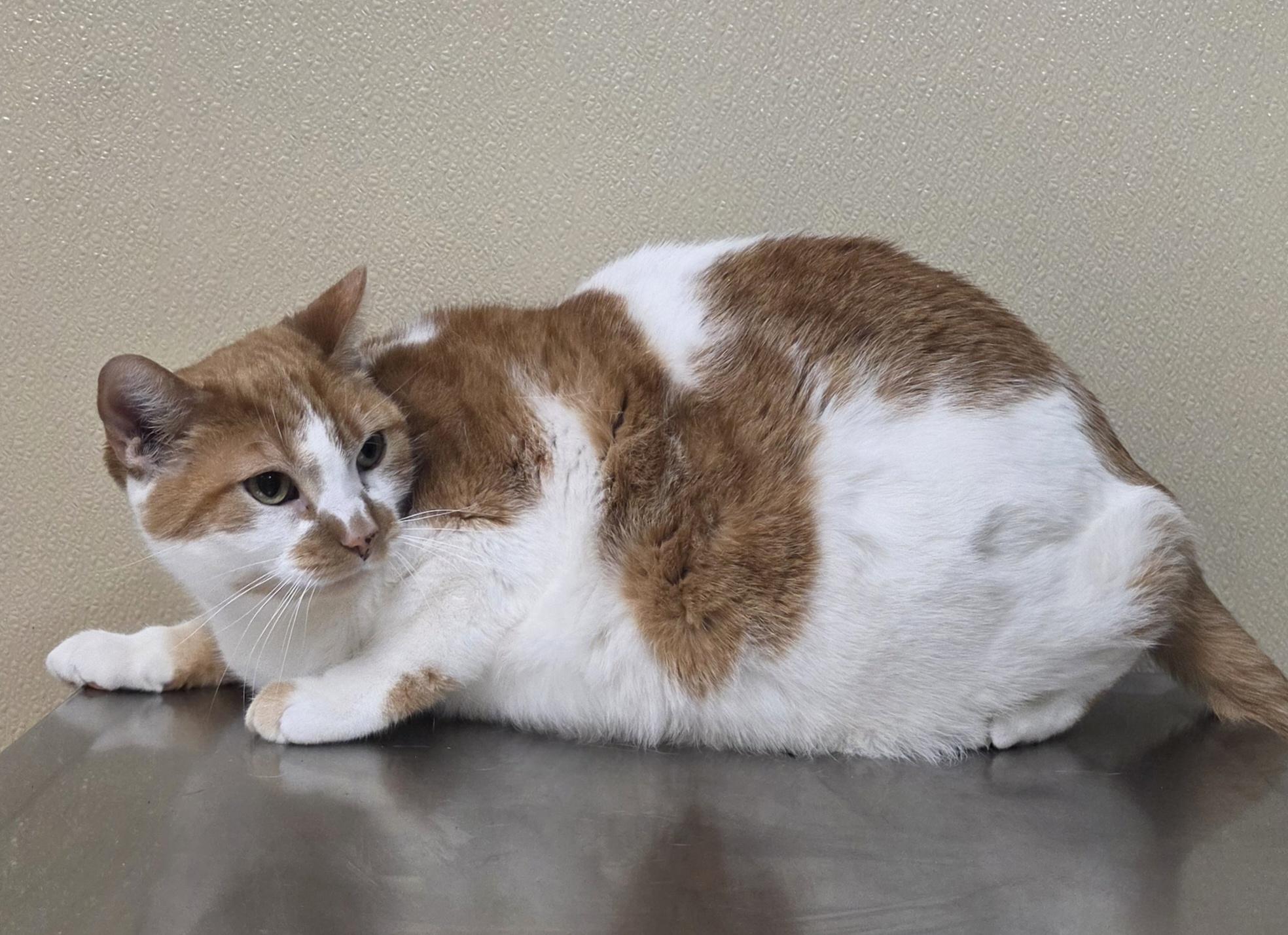 Bravo photo