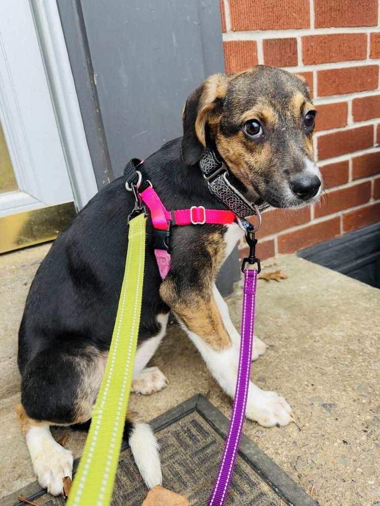 Crumb — thumbnail 2