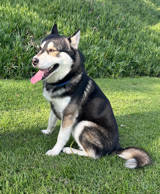 George - Courtesy Post 1