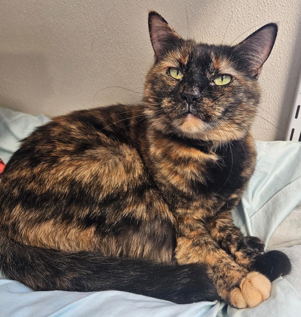 Ruthless Ruthie — thumbnail 2