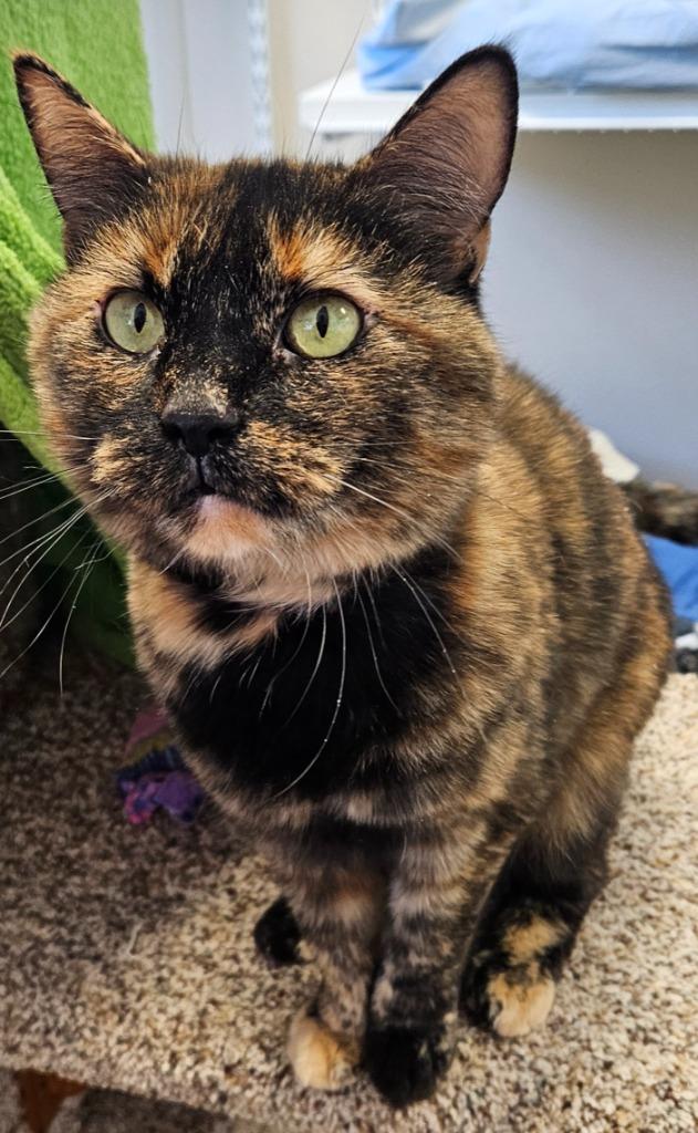 Ruthless Ruthie — thumbnail 3