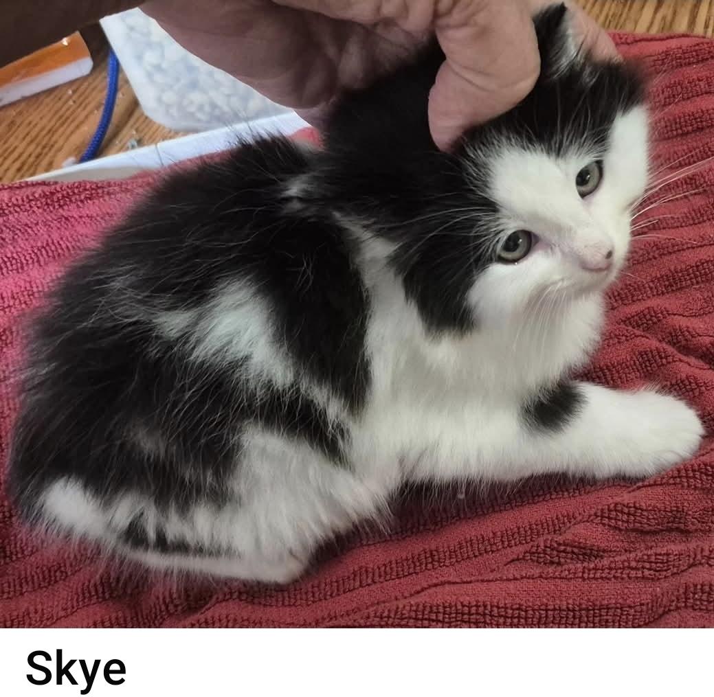 Skye