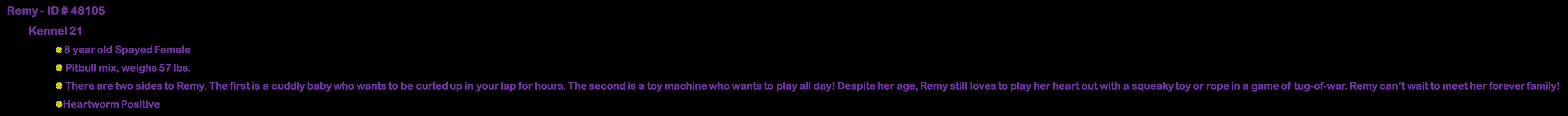 Enlarge Remy , a ADOPTABLE mixed breed in Suffolk, VA image 4/4