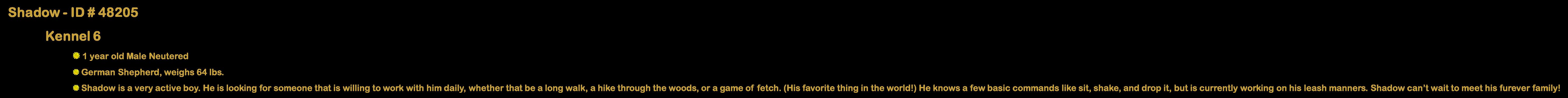 Enlarge Remy , a ADOPTABLE mixed breed in Suffolk, VA image 1/4