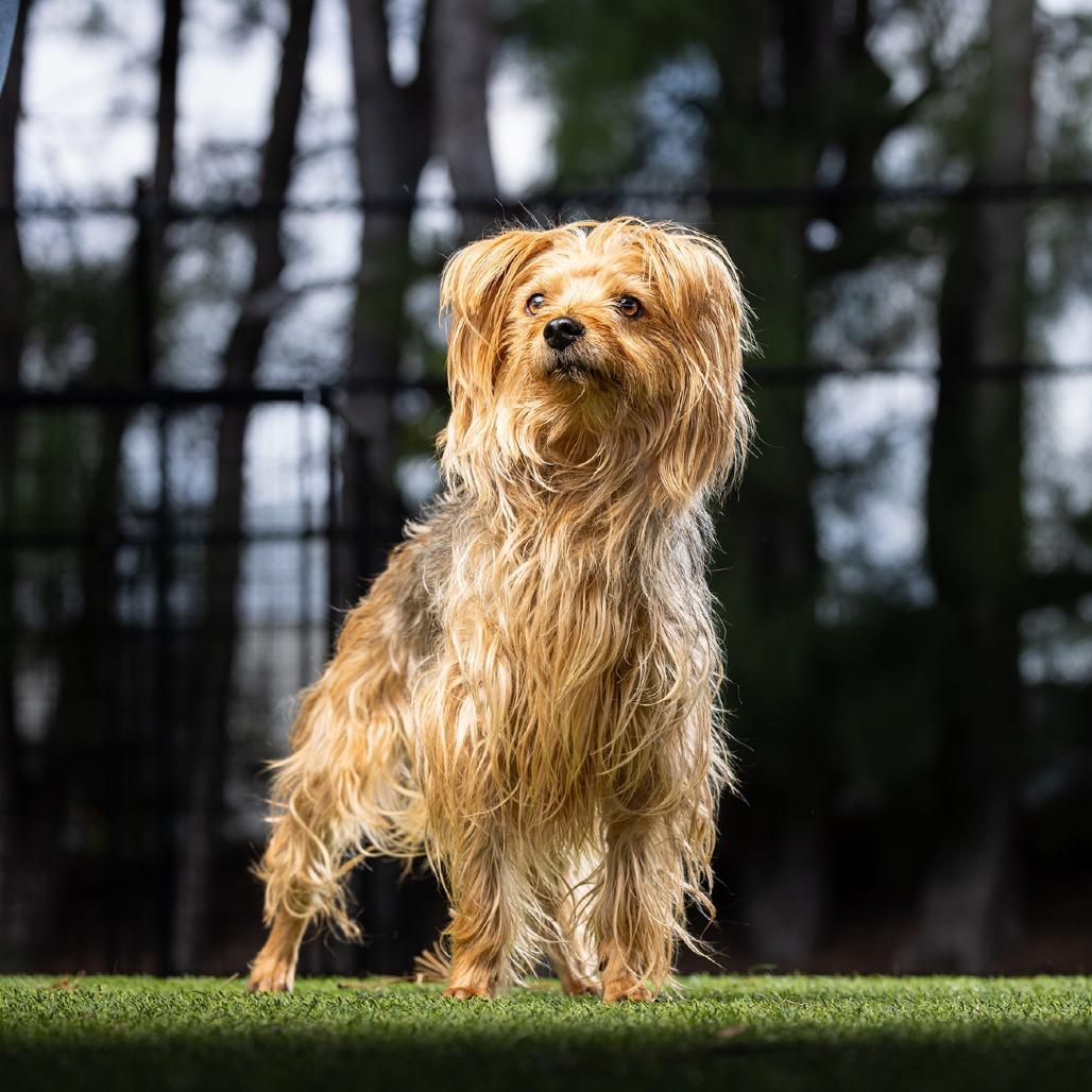 Carly — thumbnail 2