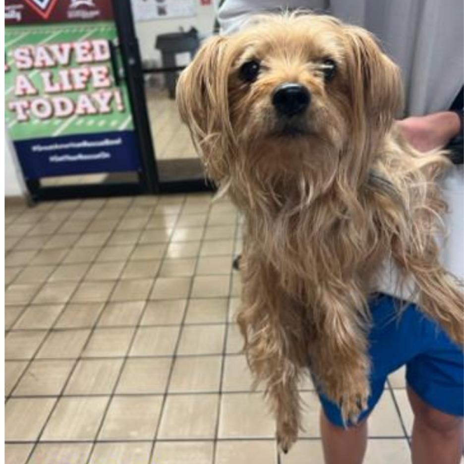 Carly — thumbnail 3