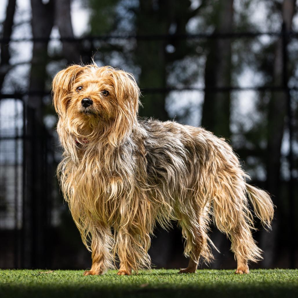 Carly — thumbnail 4