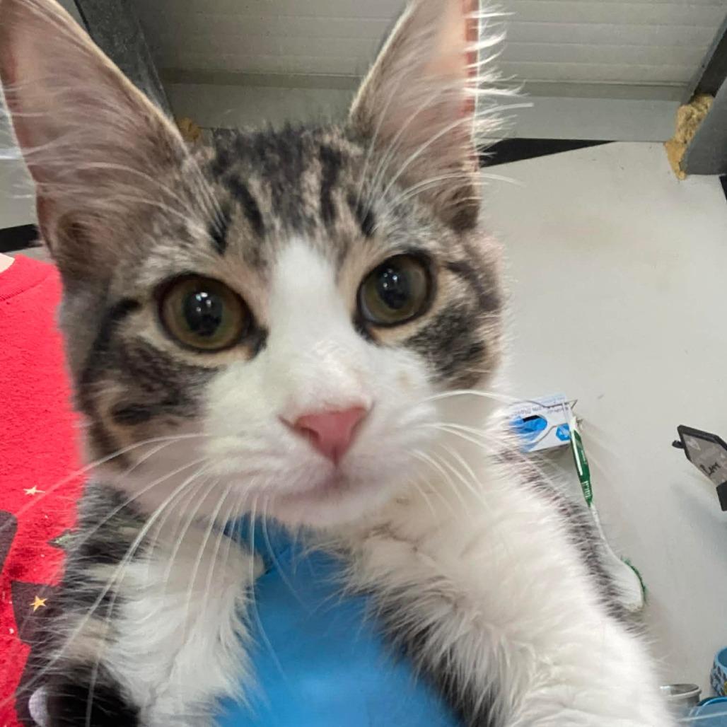 Michael — thumbnail 2