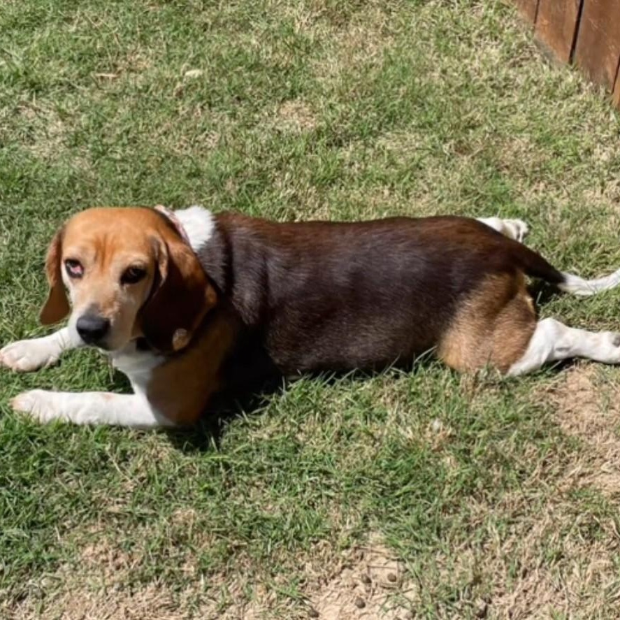 Maybelle