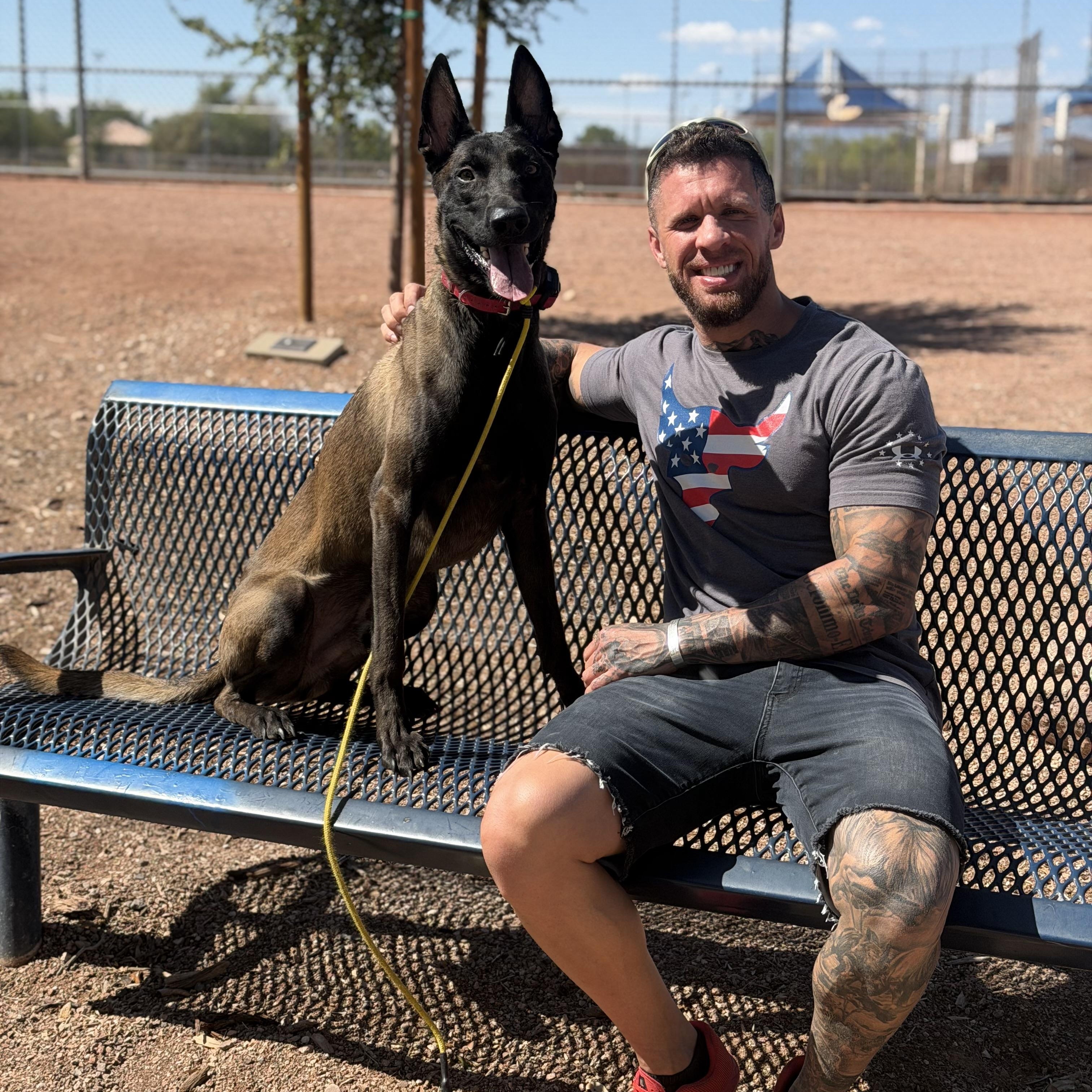 Berserk, a ADOPTABLE Belgian Shepherd / Malinois in Las Vegas, NV image 2/6