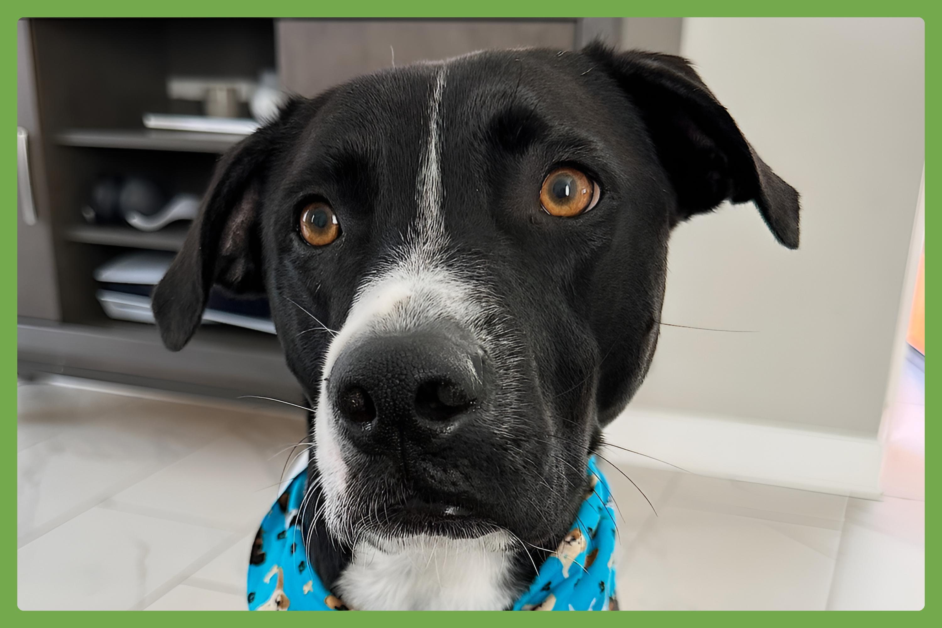 Blue — thumbnail 2