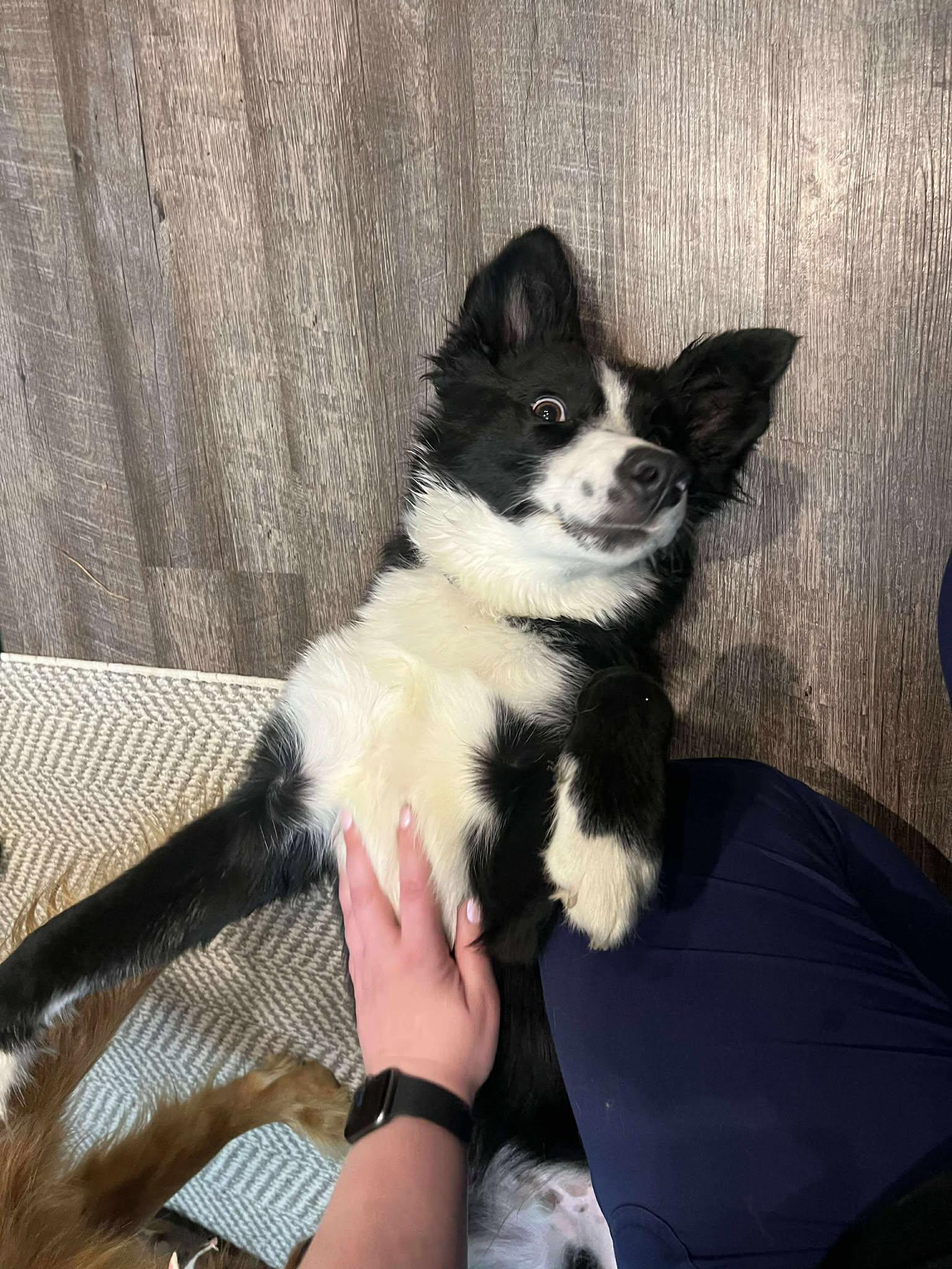 Bandit 2