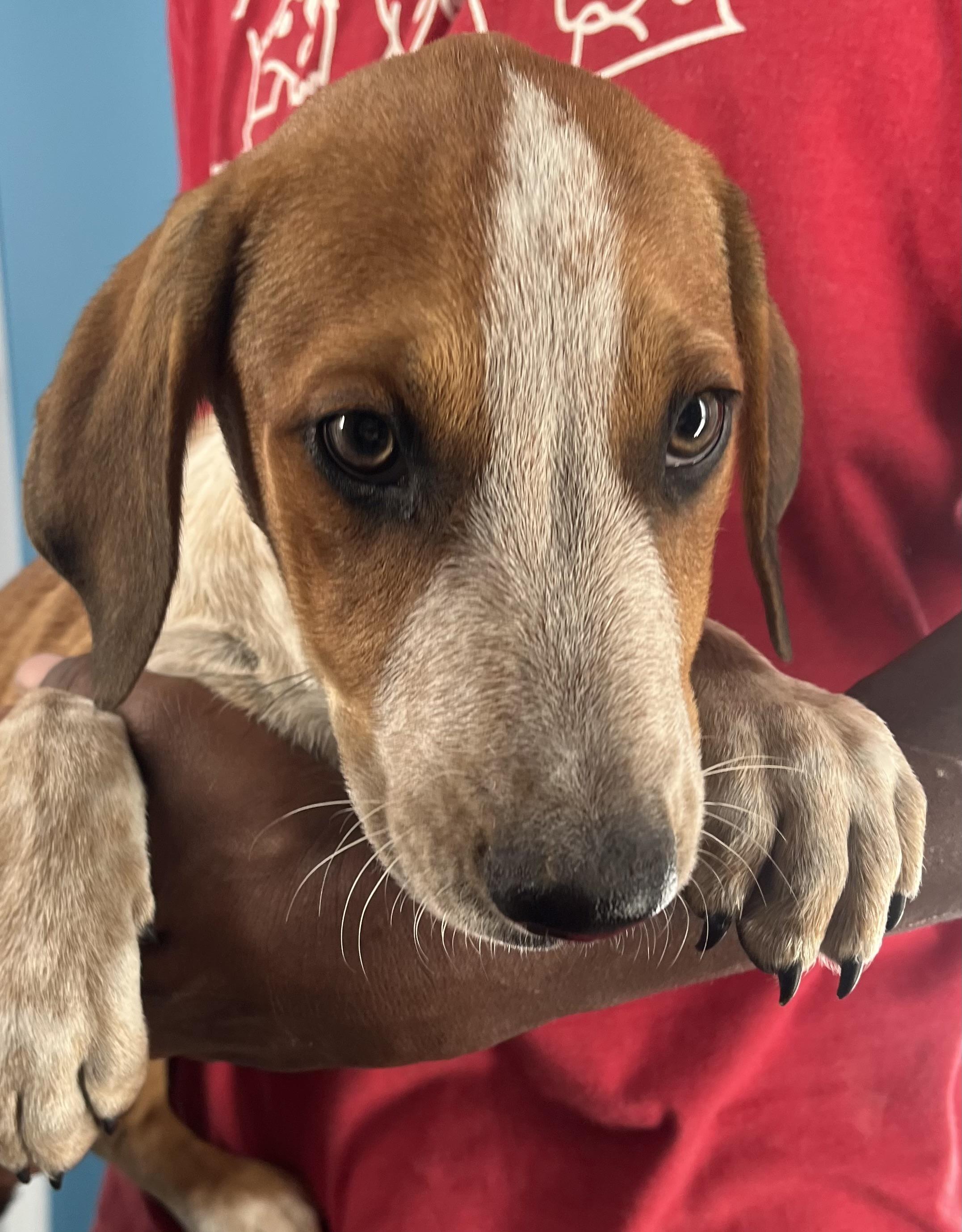 Oscar  Local Oct thumbnail 5