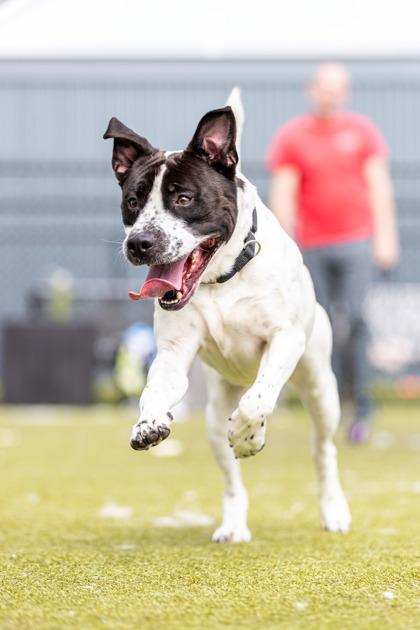 Thunder — thumbnail 2