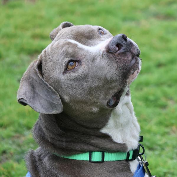 Philly — thumbnail 2