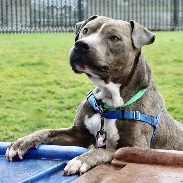 Philly — thumbnail 4