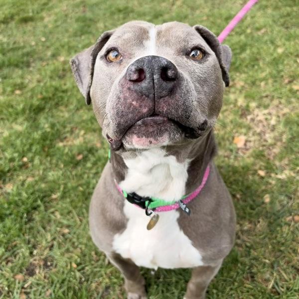 Philly — thumbnail 5