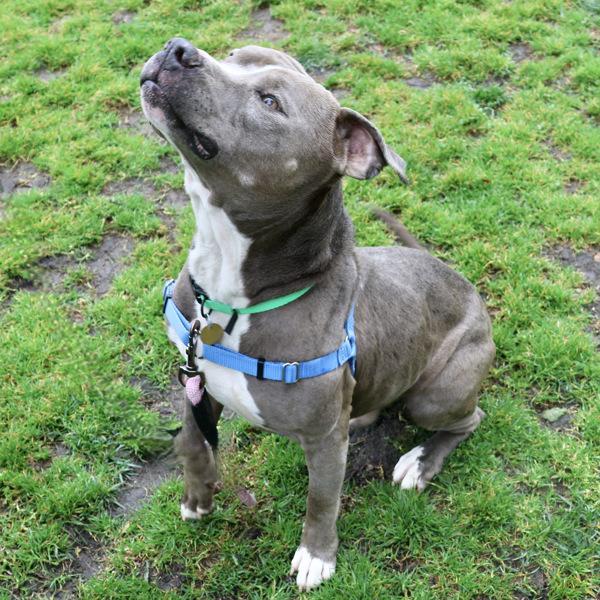 Philly — thumbnail 6