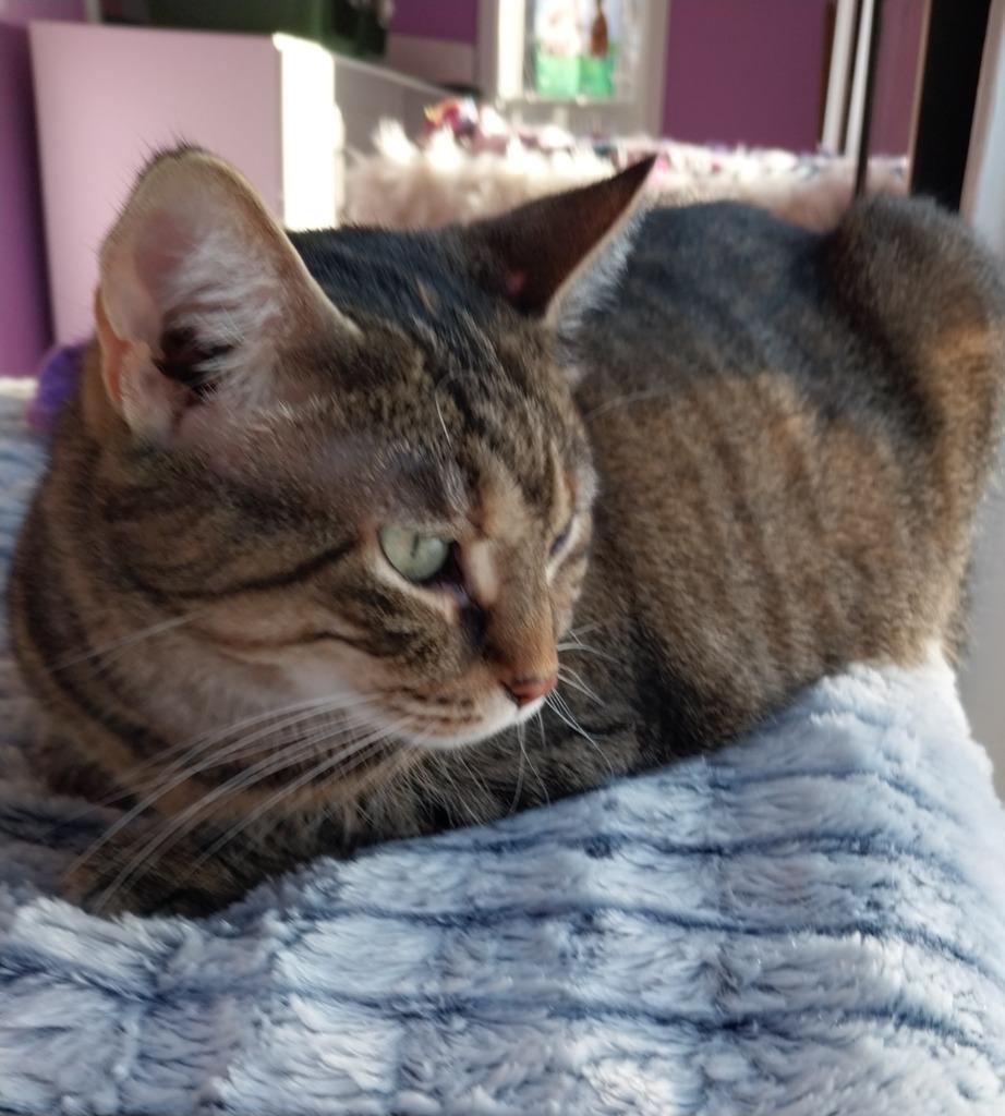 August *IN FOSTER* — thumbnail 3