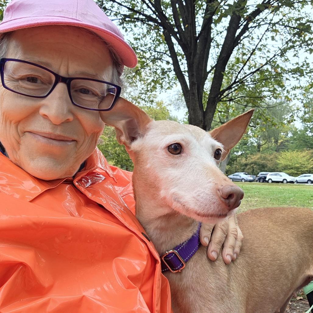 Enlarge Chispa, a Adoptable mixed breed in Newark, NJ image 2/4