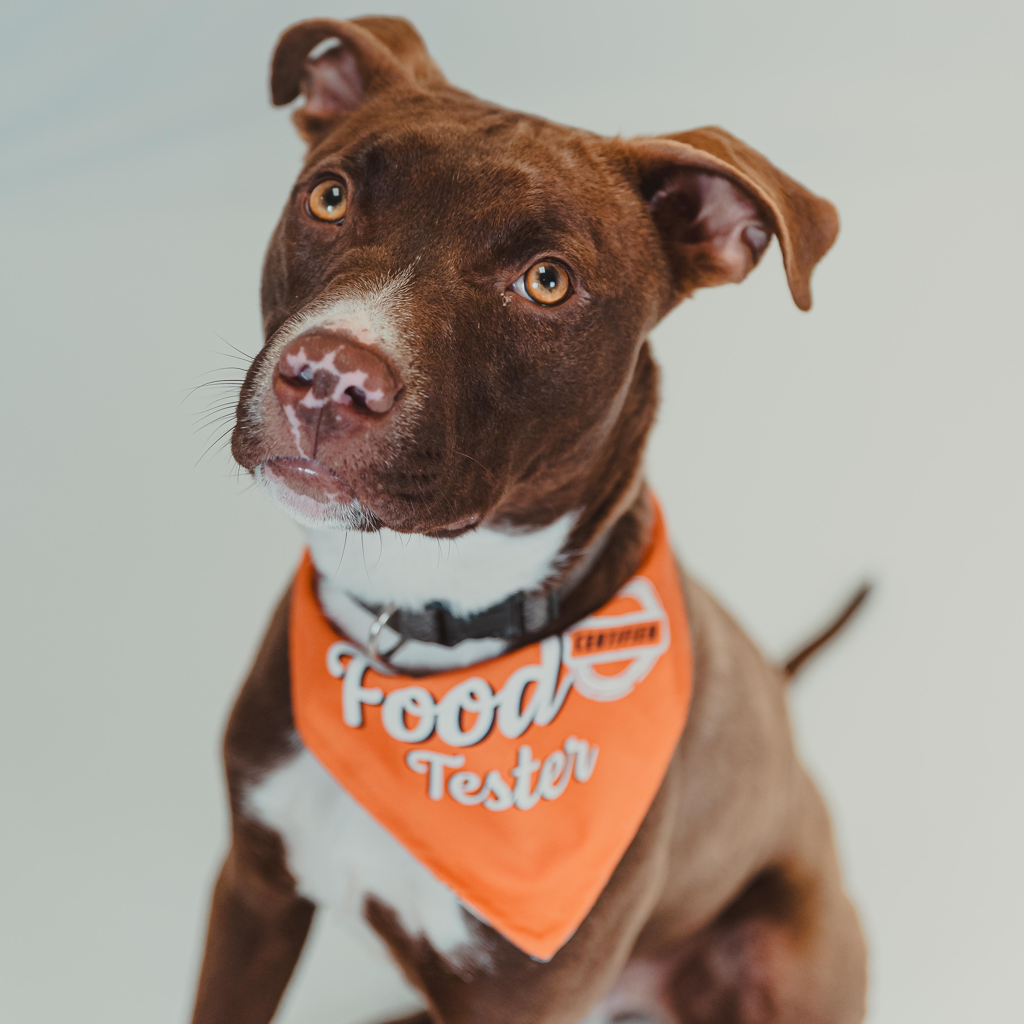 Hermit — thumbnail 4