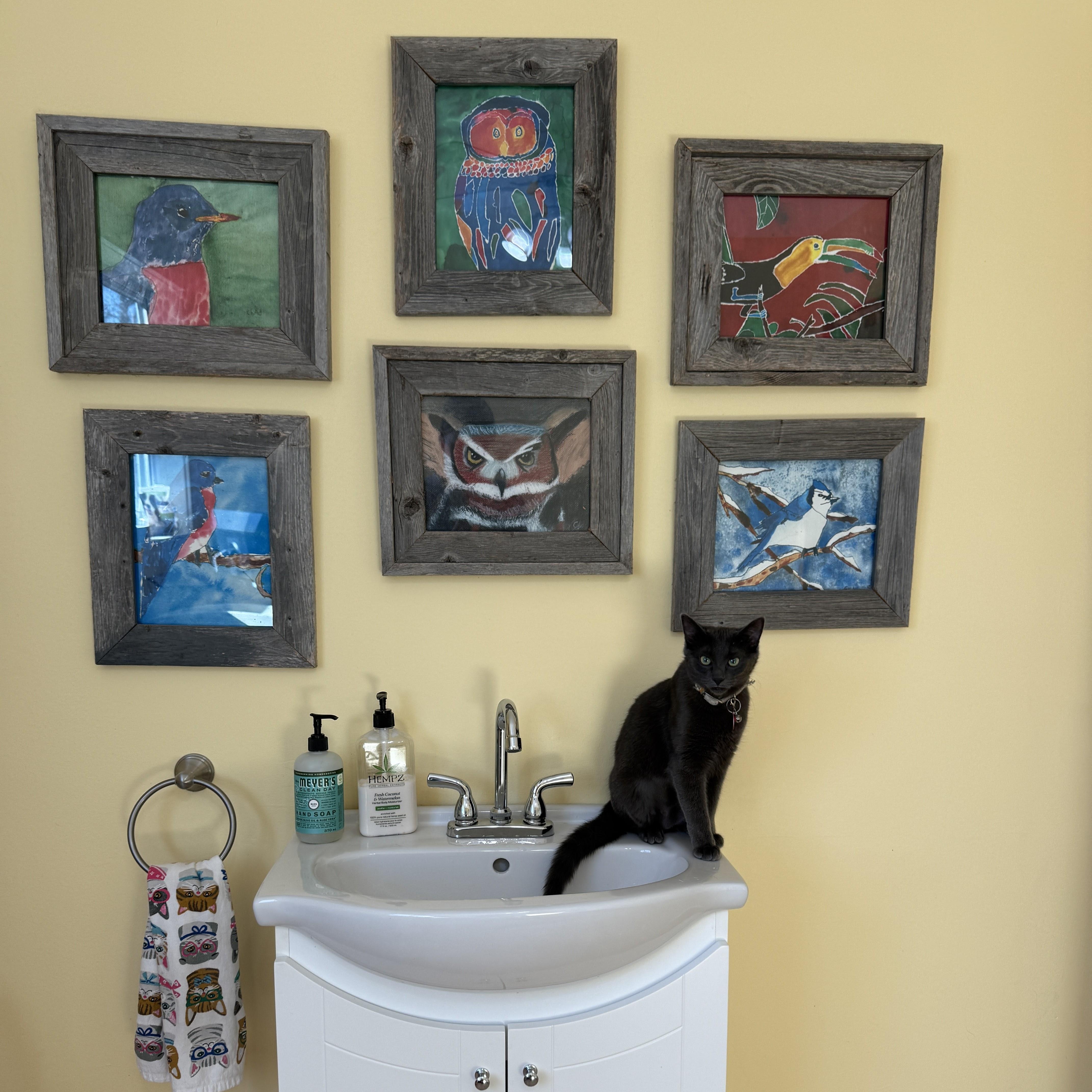 Enlarge Wanda, a Adopted Domestic Short Hair in Sherwood Park, AB image 3/5