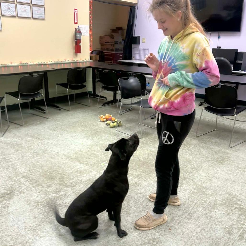 Juniper — thumbnail 6