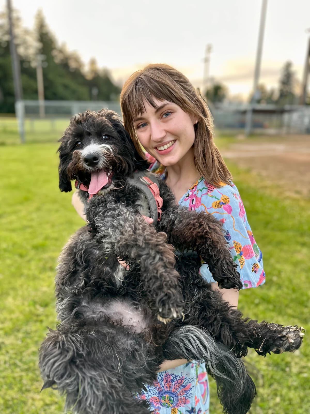Enlarge Poppy, a Adopted Labradoodle in Portland, OR image 4/5