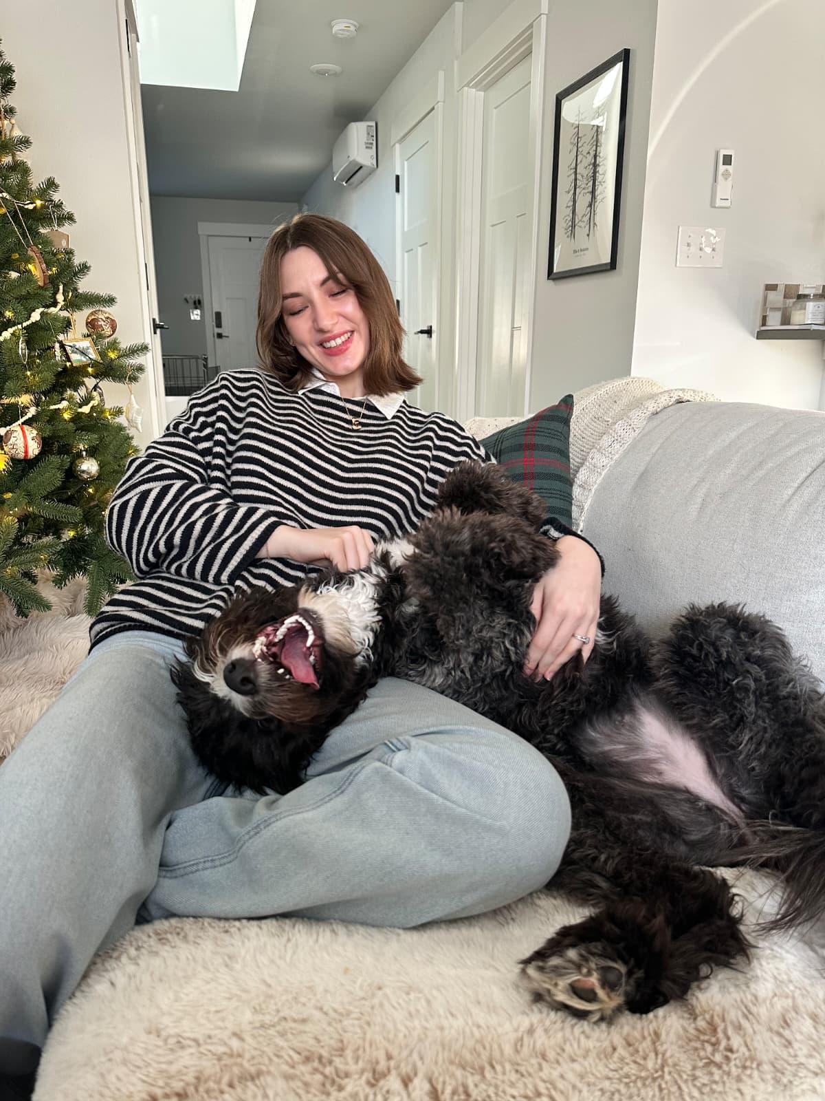 Enlarge Poppy, a Adopted Labradoodle in Portland, OR image 2/5