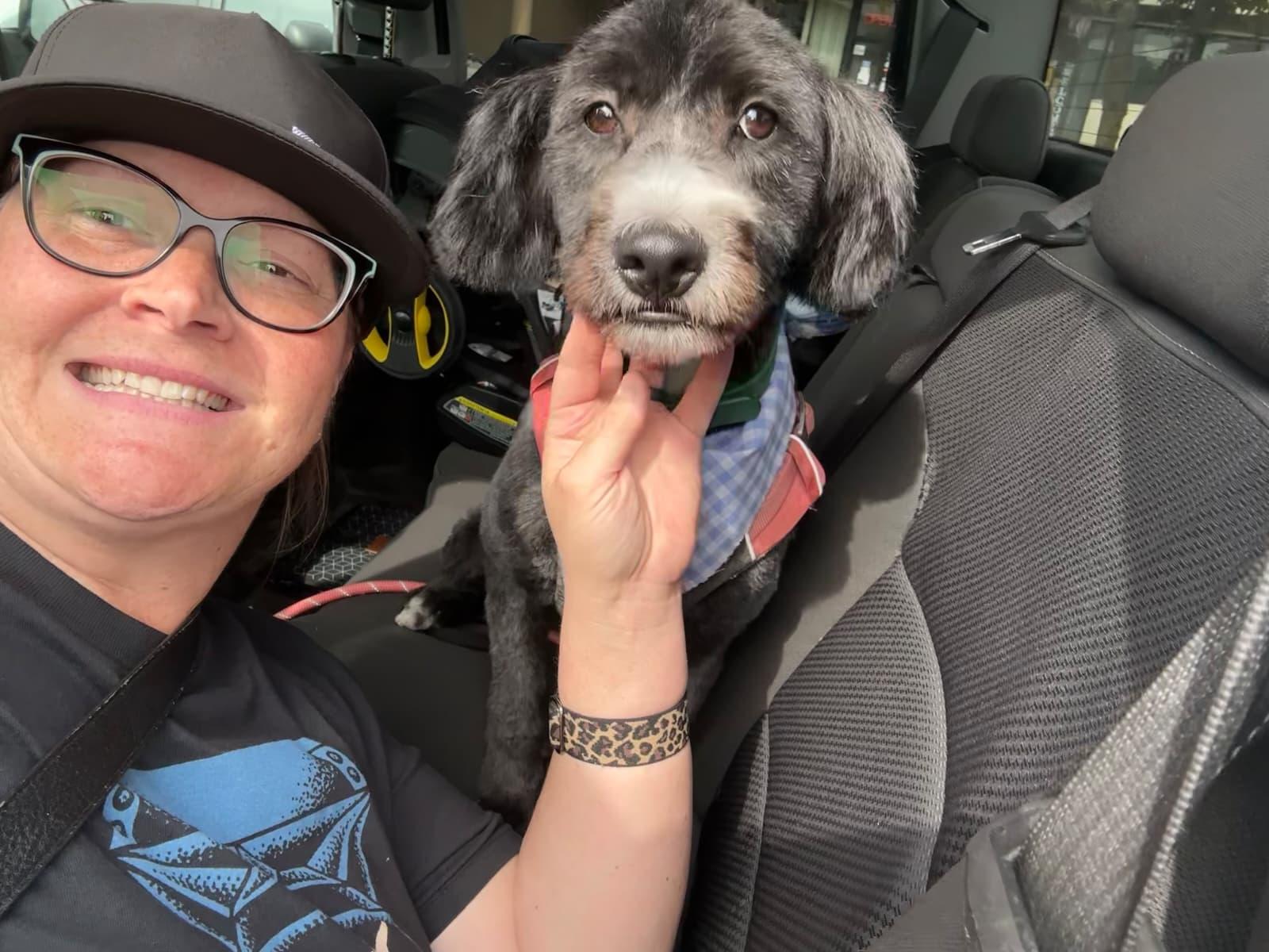 Enlarge Poppy, a Adopted Labradoodle in Portland, OR image 5/5