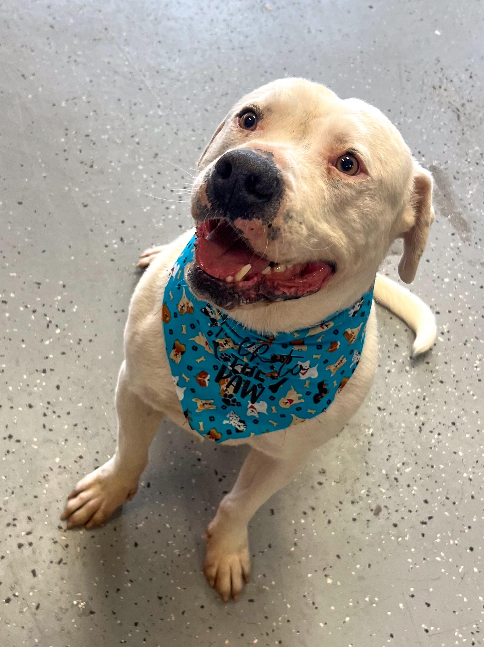 Frosty — thumbnail 2