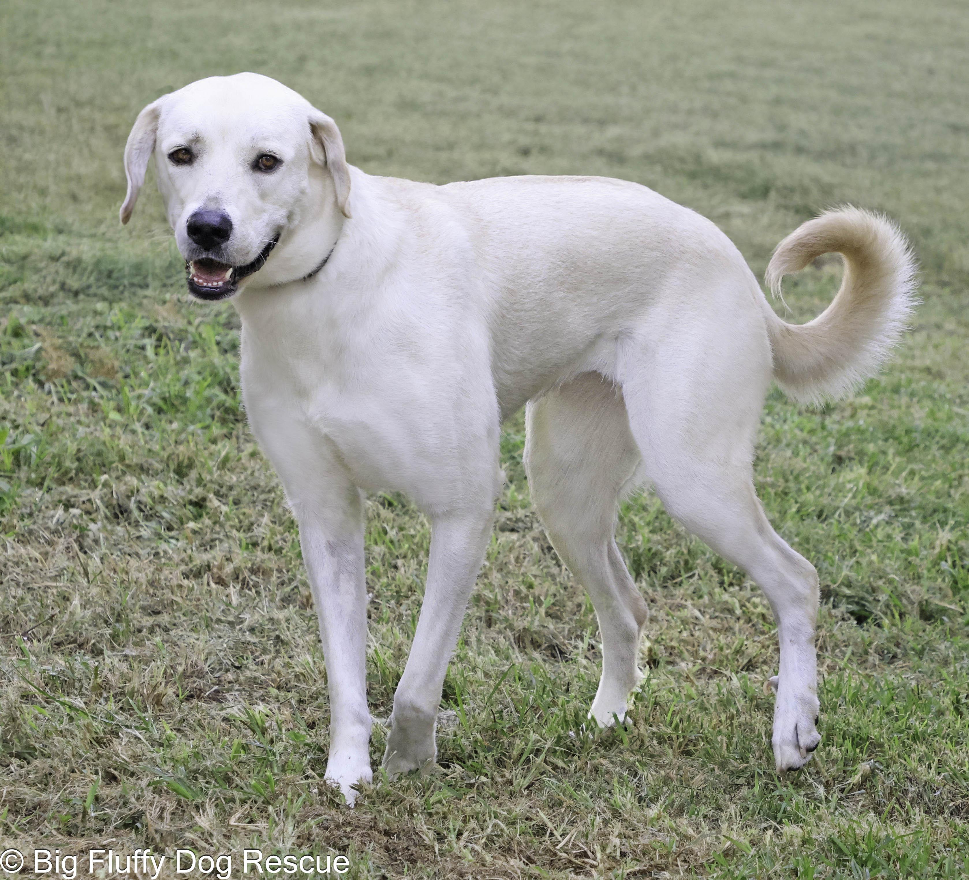 Ruby — thumbnail 5