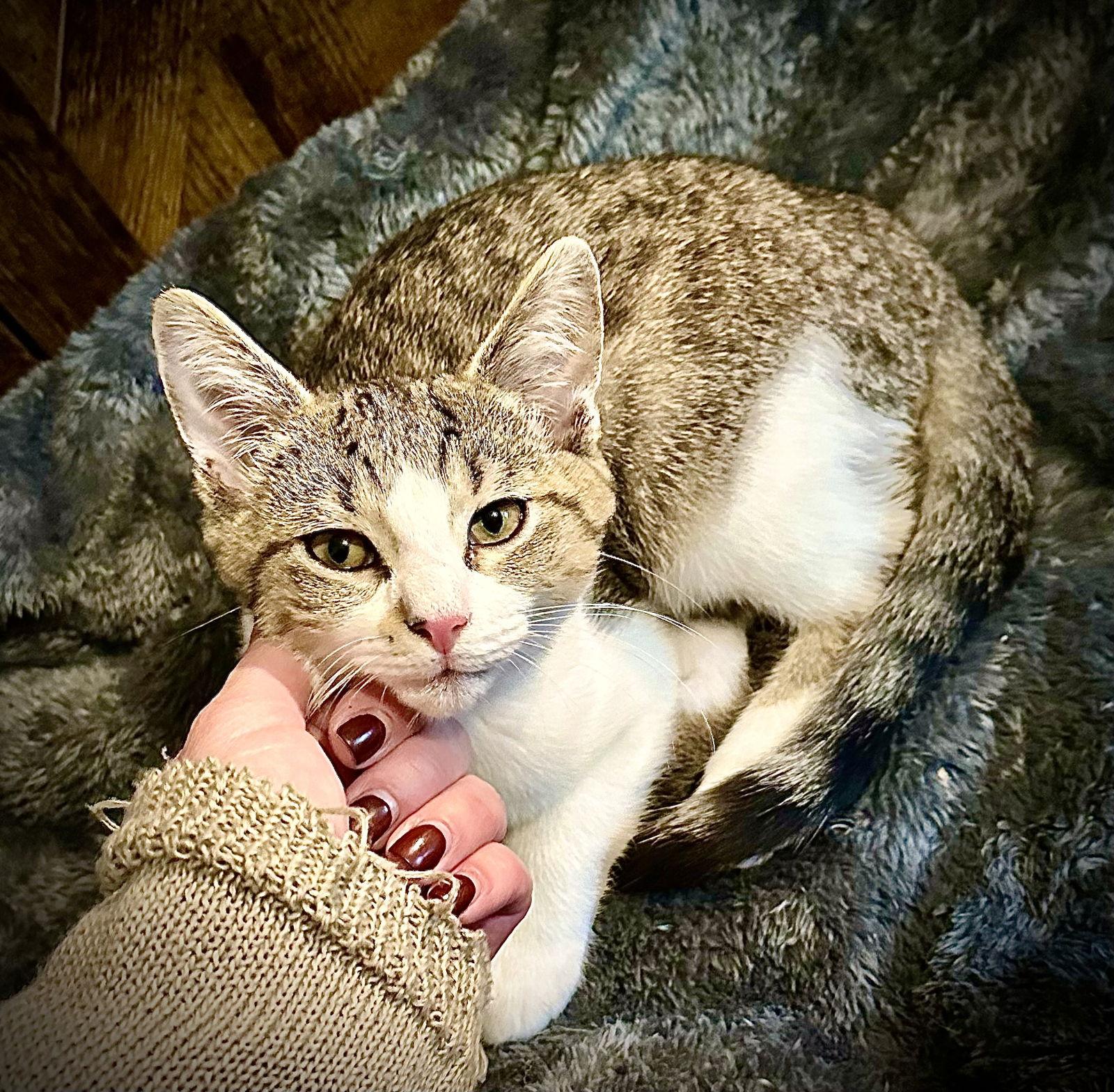 Charlles thumbnail 2