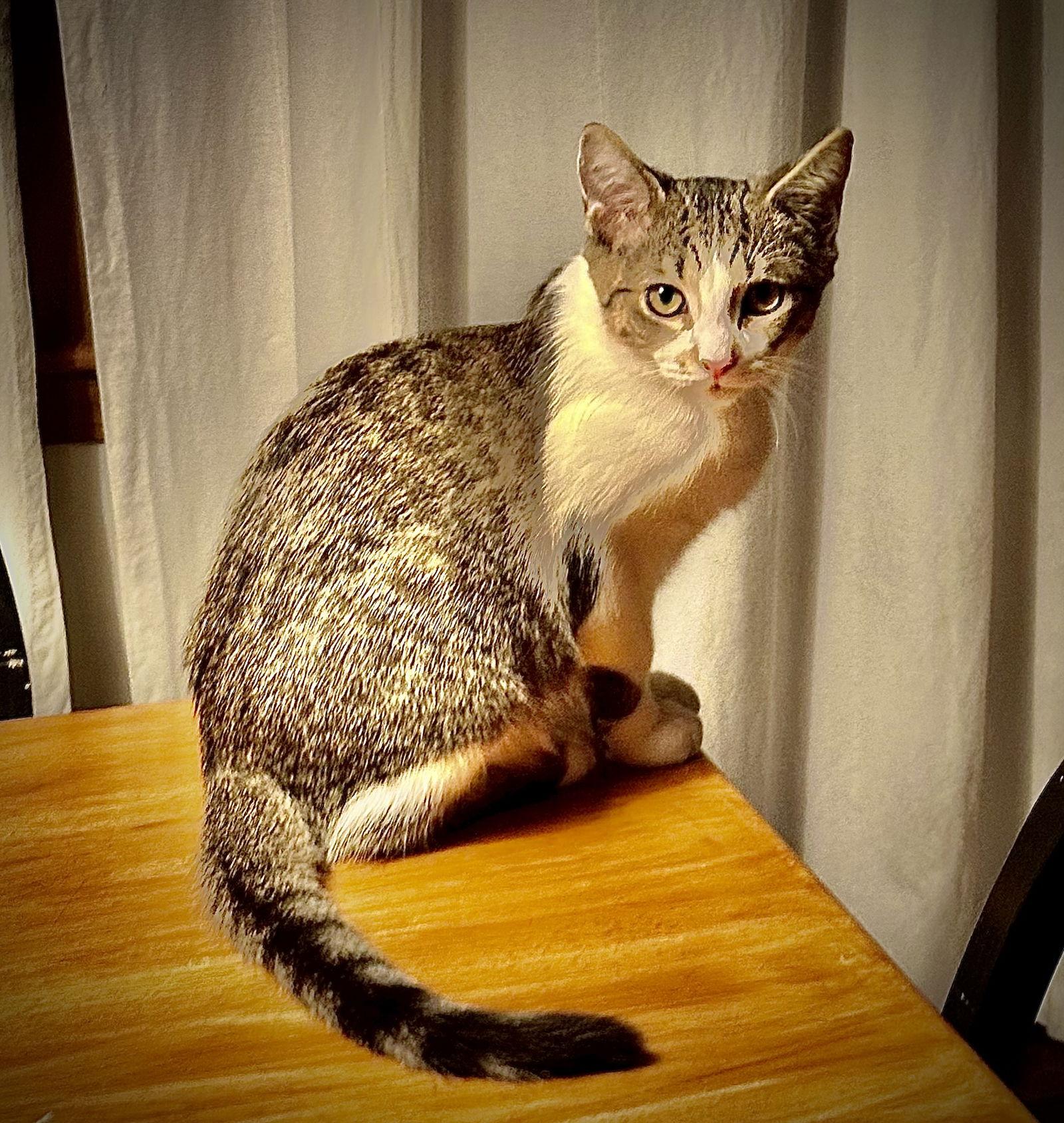 Charlles thumbnail 3