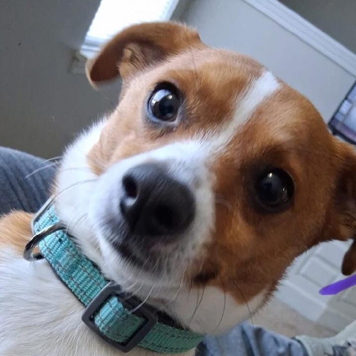 Jack