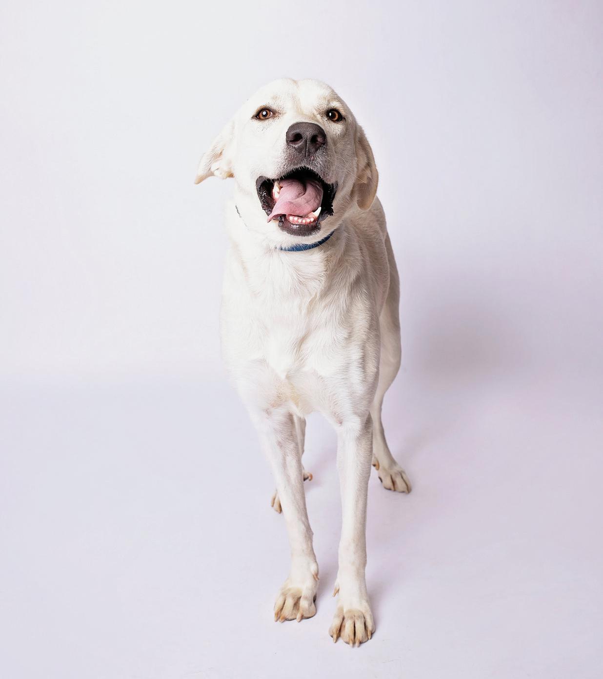 Ruby — thumbnail 2