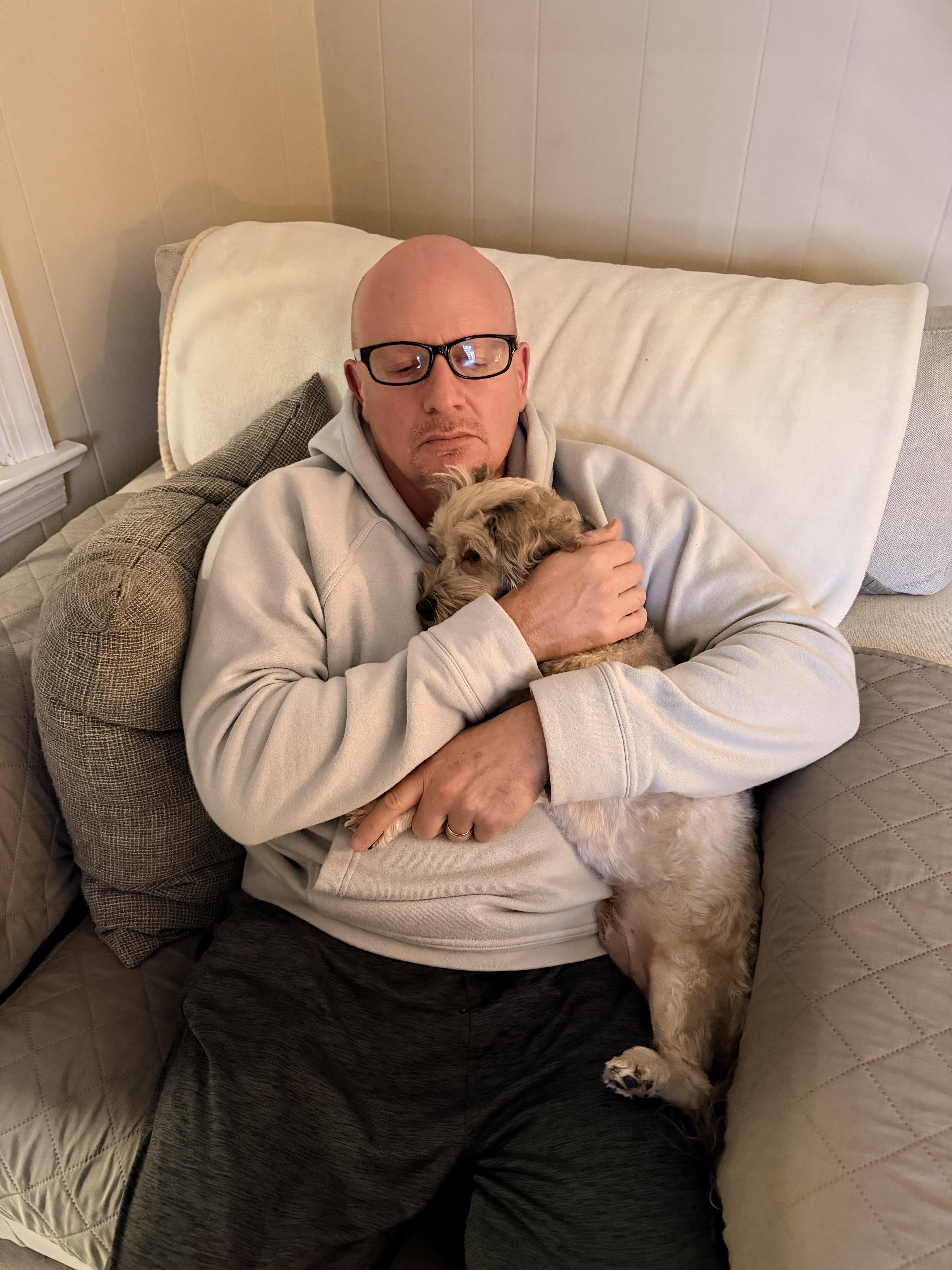 Enlarge Lincoln in New Cumberland, Pennsylvania, a ADOPTABLE Havanese in New Cumberland, PA image 2/6