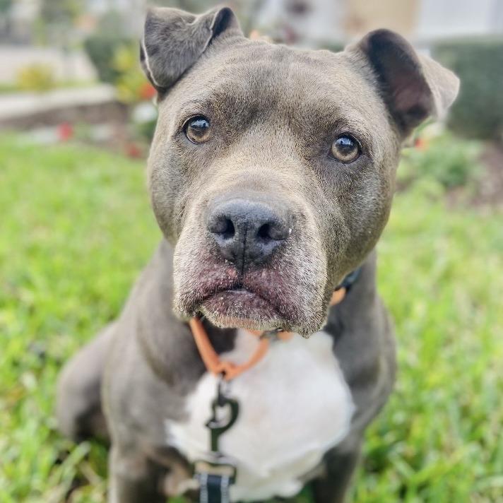 Sally — thumbnail 2