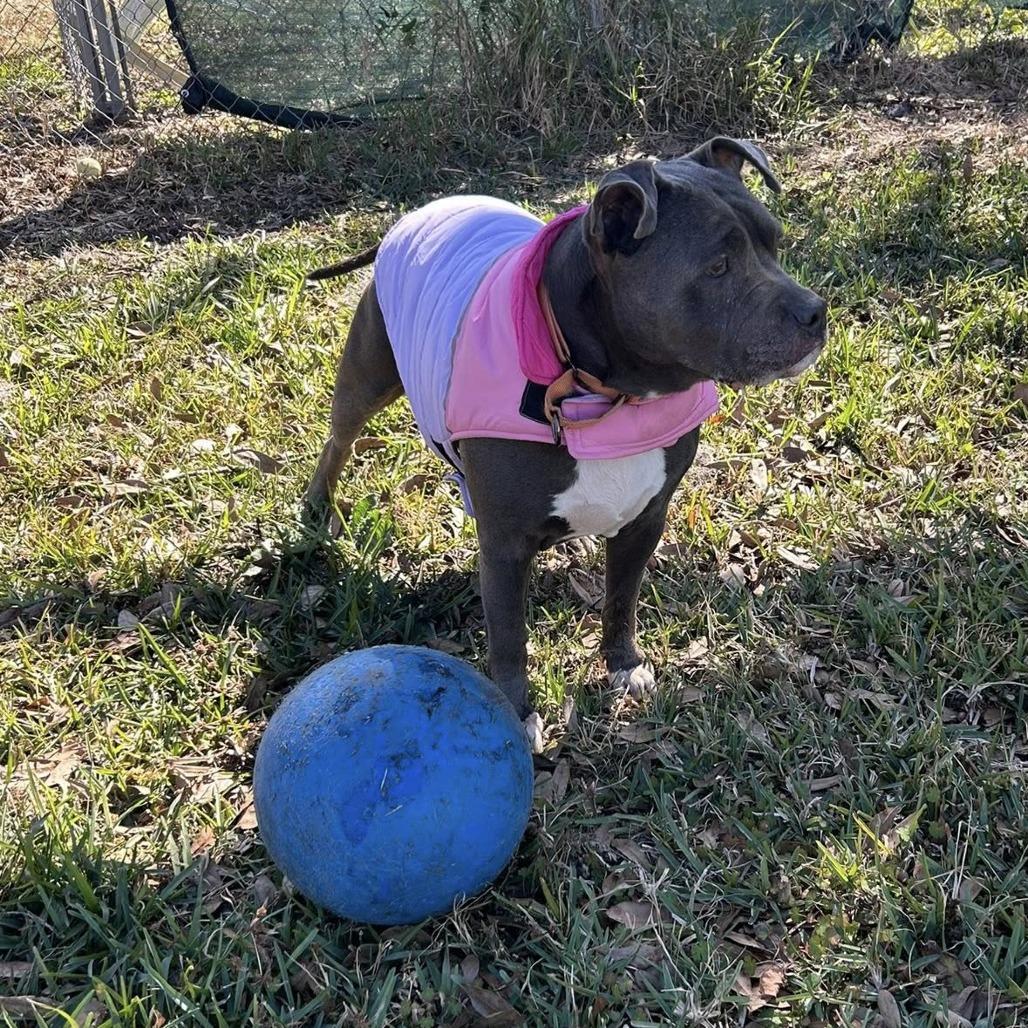 Sally — thumbnail 4