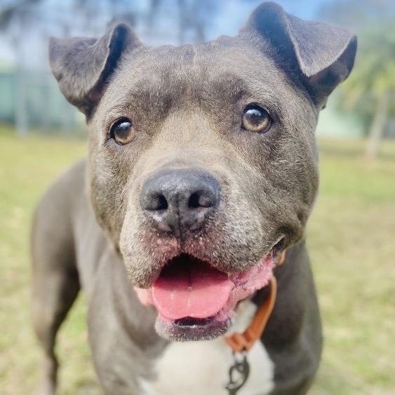 Sally — thumbnail 5